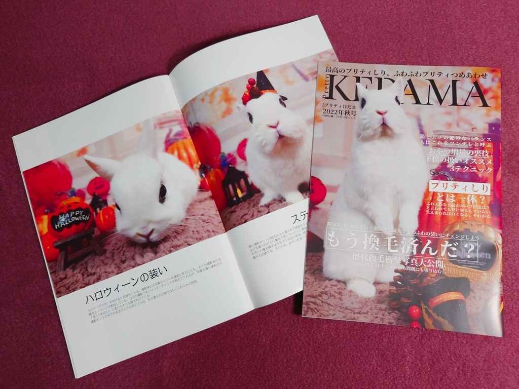 プリティけだま(フォトブック)