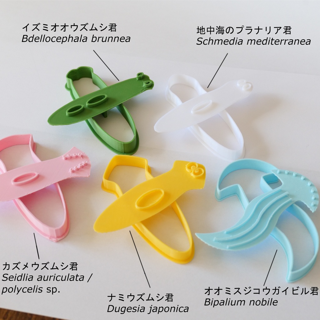 【クッキーを作ろう!!】プラナリアたちのクッキー型