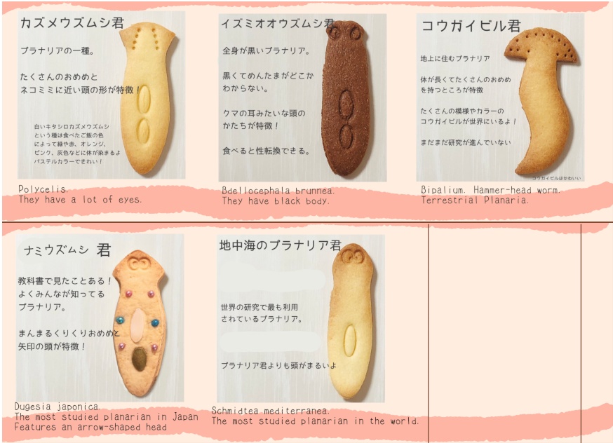 【クッキーを作ろう!!】プラナリアたちのクッキー型
