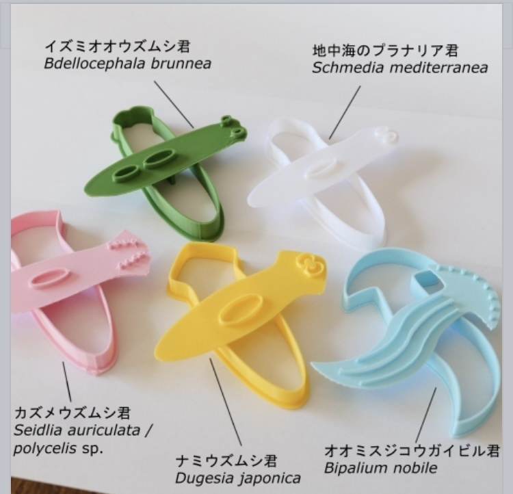匿名配送ver】プラナリアたちのクッキー型 - クッキー型工房ぷらなりあ 