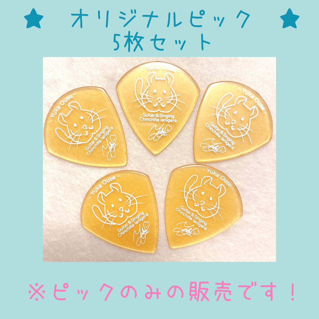 【オリジナルピック5枚セット ※ピックのみの...