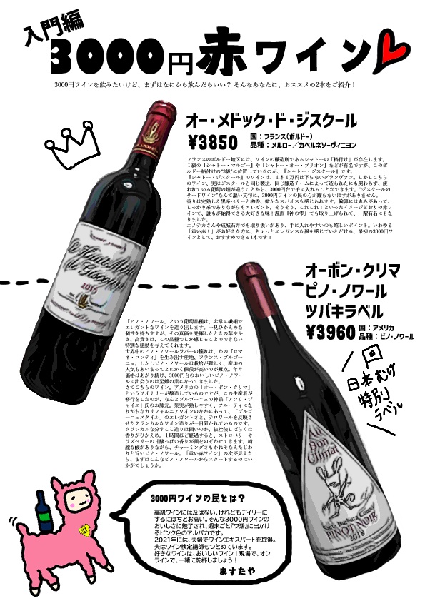 【無料配布】入門編　赤・白3000円ワイン