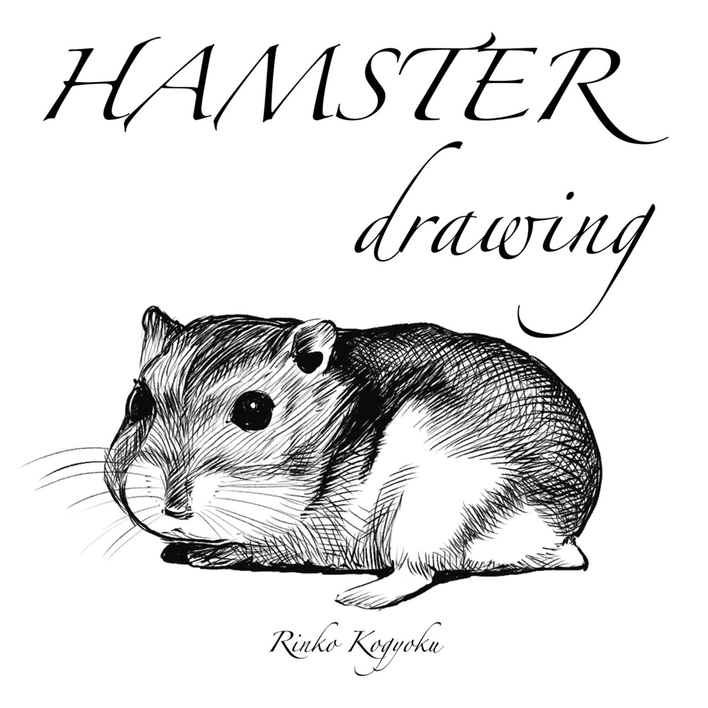 HAMSTER drawing