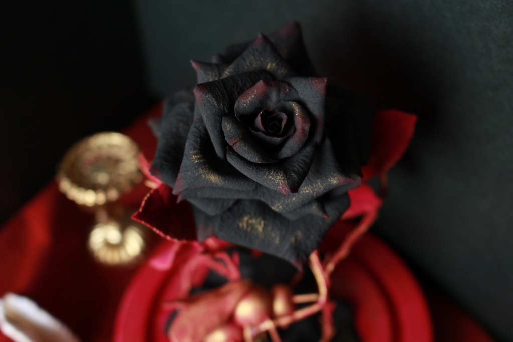 🌈【カラフルアートフェス限定セット】ハナハコビ百花店ガラスドーム大