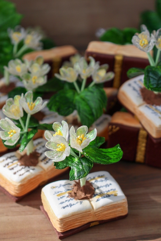 立体植物図鑑ーサンカヨウー