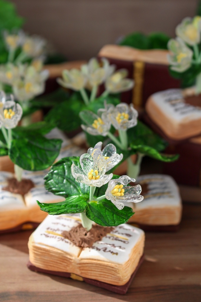 立体植物図鑑ーサンカヨウー