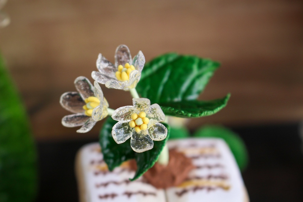 立体植物図鑑ーサンカヨウー