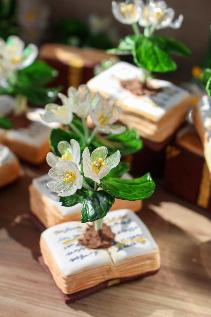 立体植物図鑑ーサンカヨウー