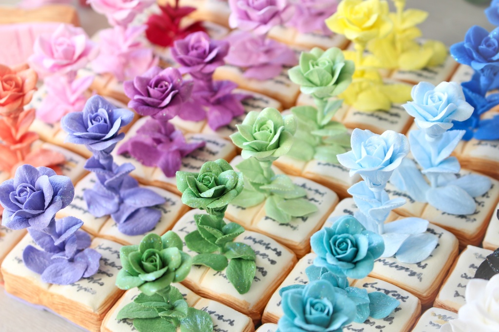 《個展感謝セール》立体植物図鑑ーColorfulー