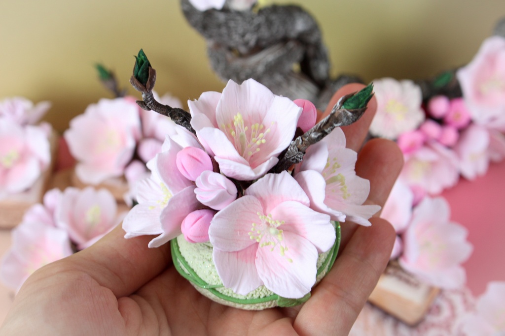手のひらのお庭ー桜🌸ー