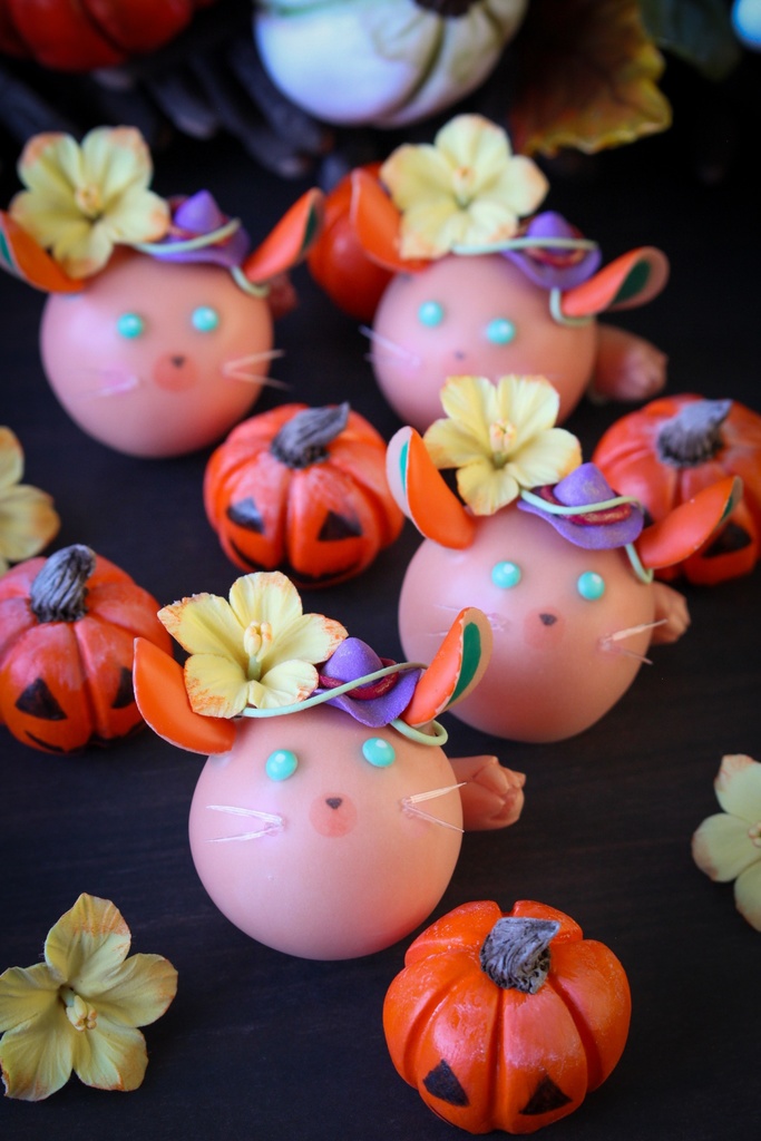 花咲くチンチラねじゅ🎃かぼちゃのお花🎃