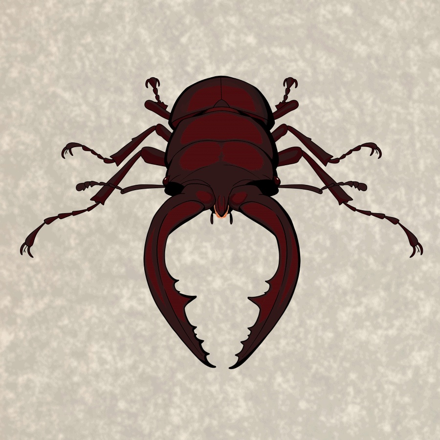 【ぼくたちの夏】ノコギリクワガタのLive2Dモデル