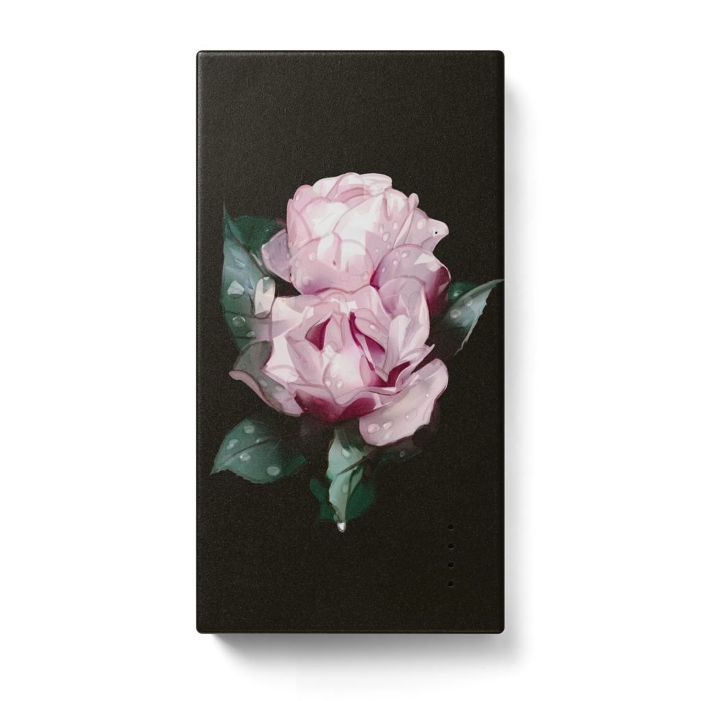 Rainy Roses / MOBILE BATTERY
