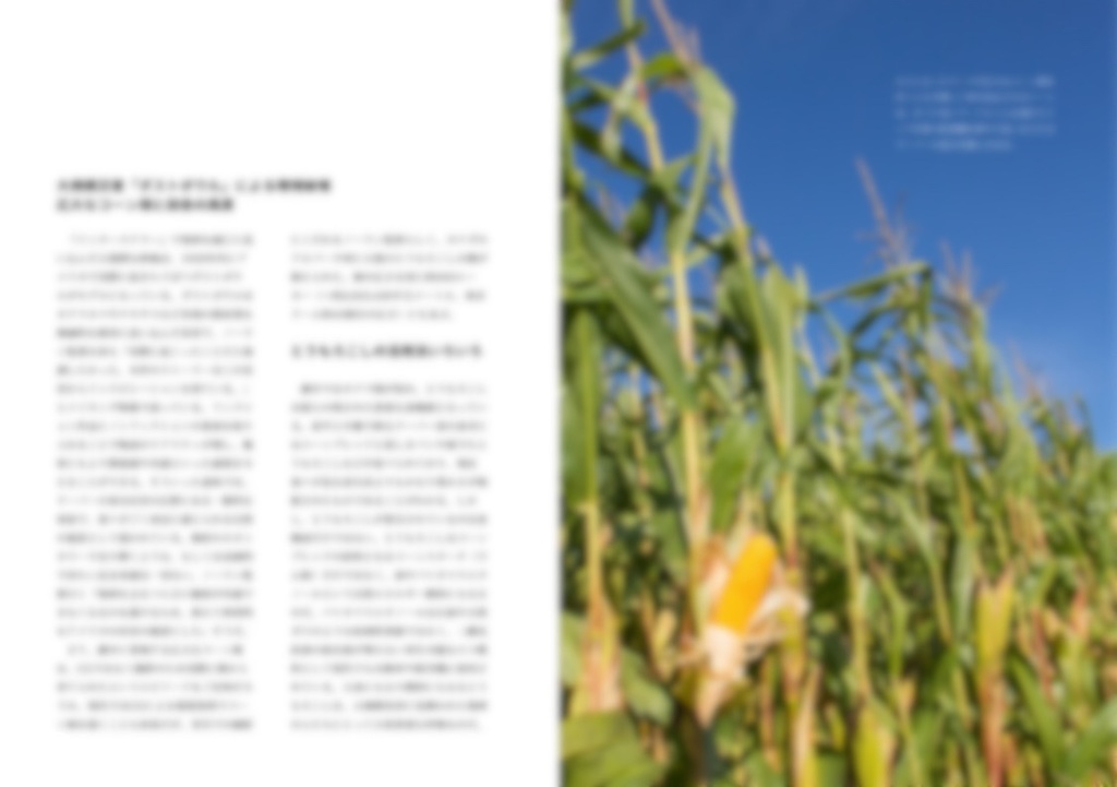 EVERYTHING IN ITS RIGHT PLACE