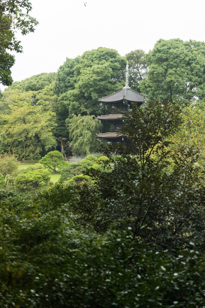 【歌詞販売】Soluna『根』