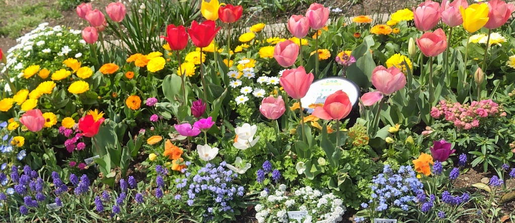 【歌詞販売】Soluna『夜を渡す』