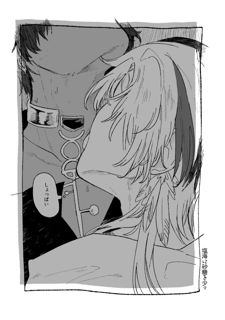 既刊_コピー本【塩海に砂糖を少々】