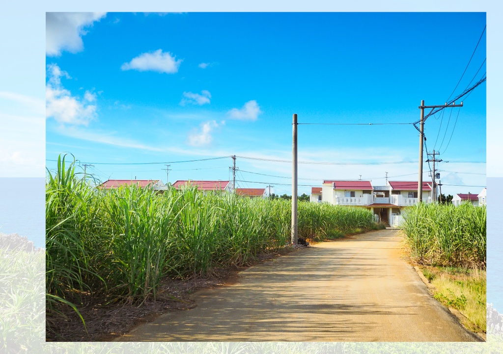 南北大東島の公営団地全部巡る