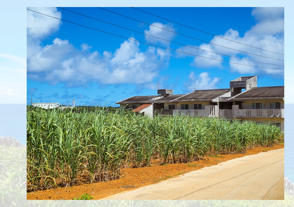 南北大東島の公営団地全部巡る