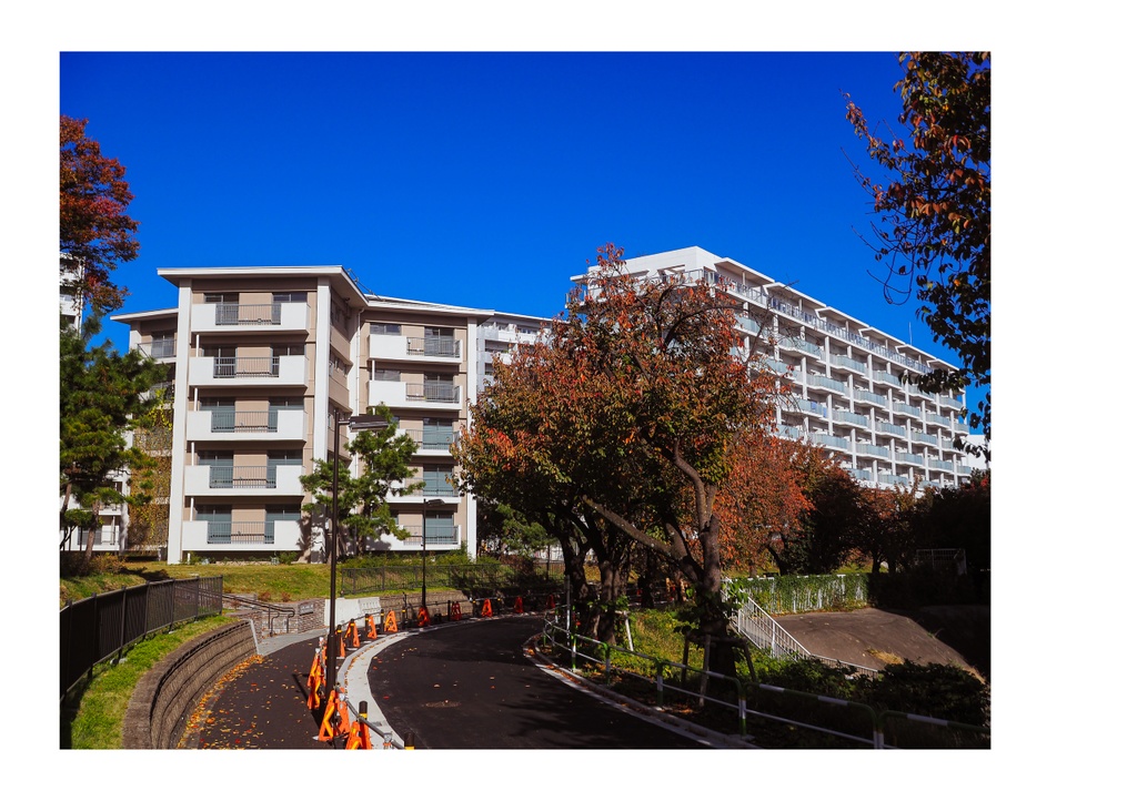 令和スターハウス リニューアルi