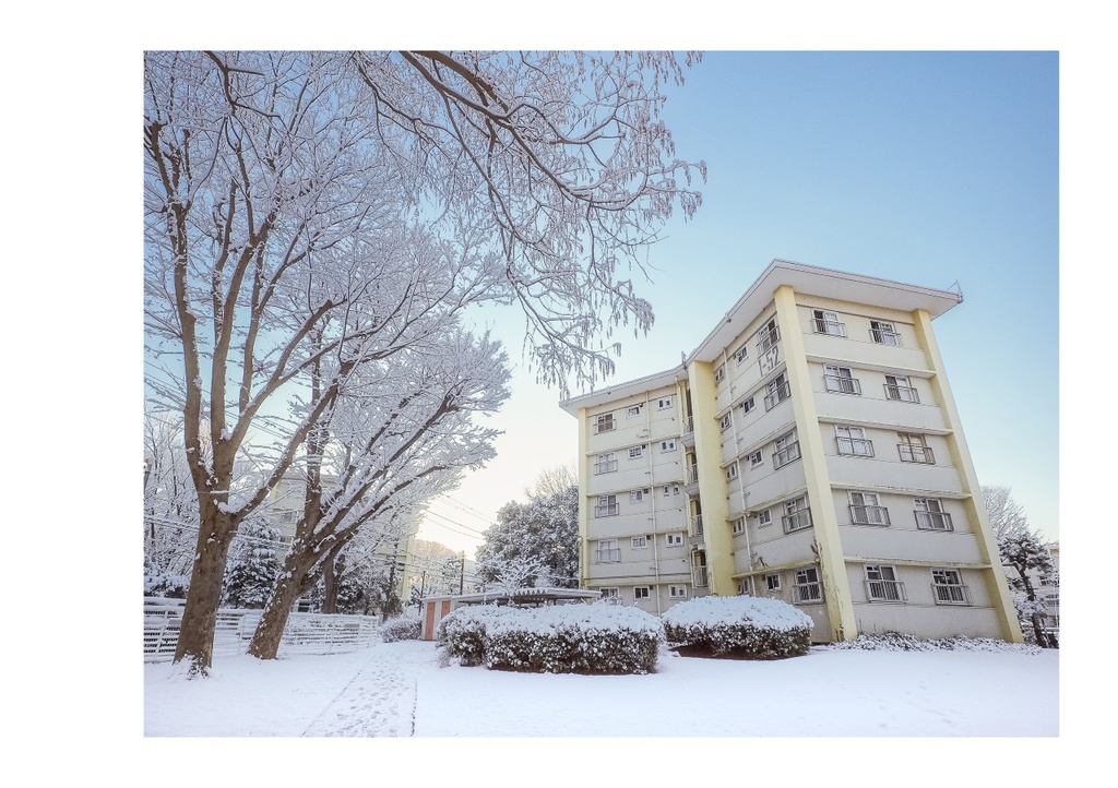 令和スターハウス リニューアルi