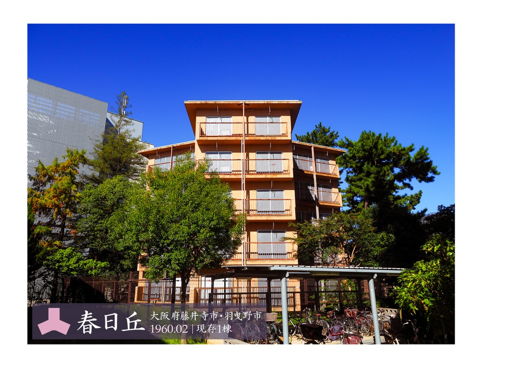 令和スターハウス リニューアルi