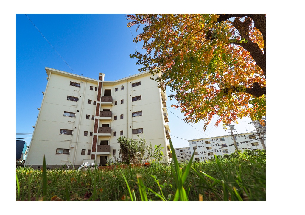 令和スターハウス リニューアルi