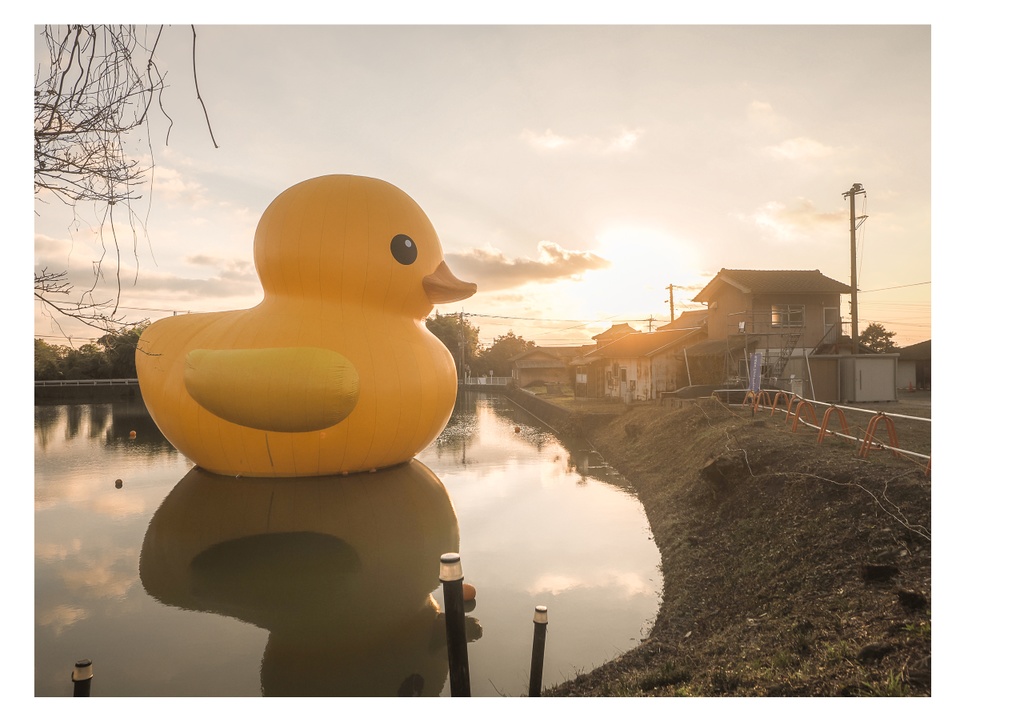 巨大アヒルに、会いに行く