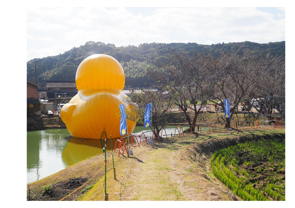 巨大アヒルに、会いに行く