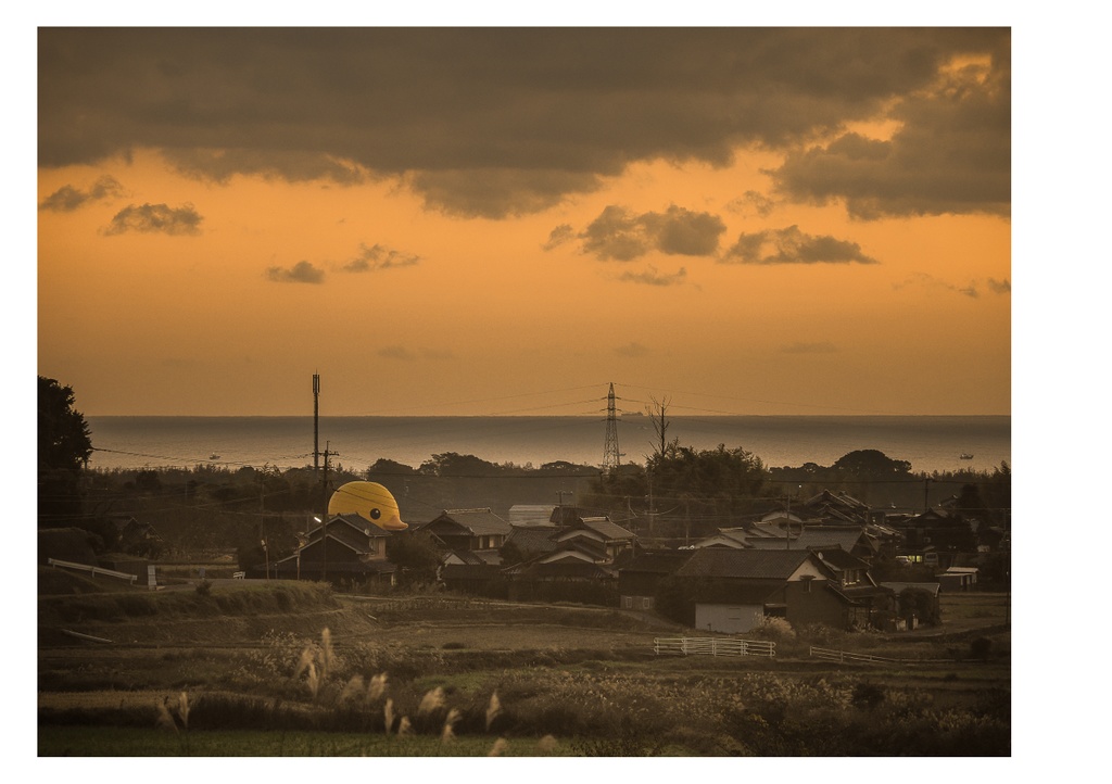 巨大アヒルに、会いに行く