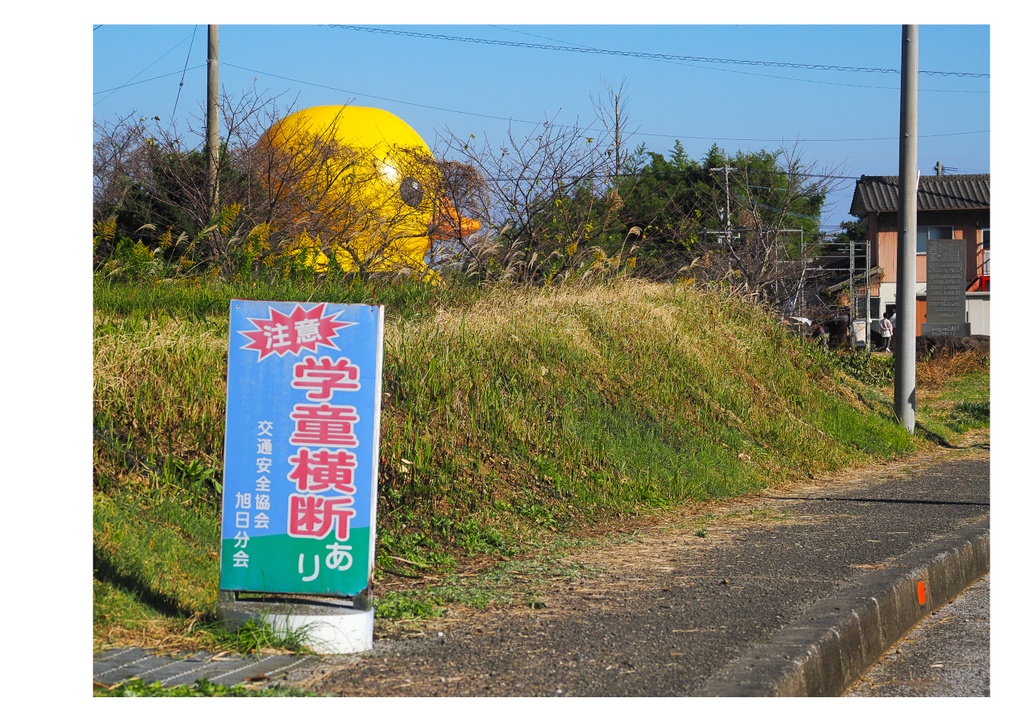 巨大アヒルに、会いに行く