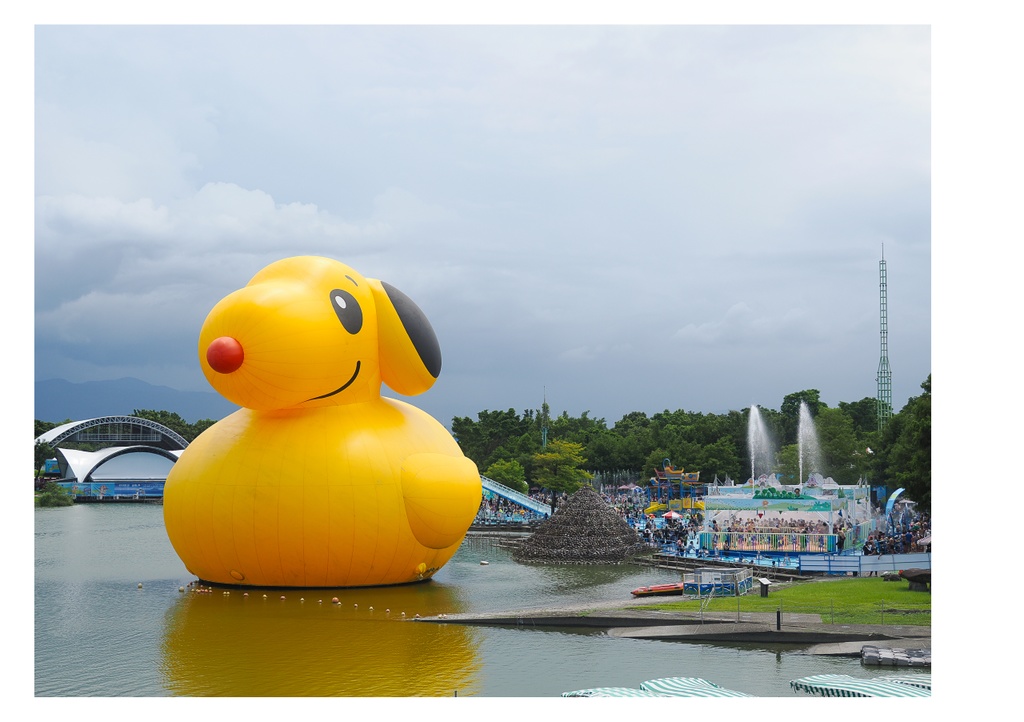 巨大アヒルに、会いに行く