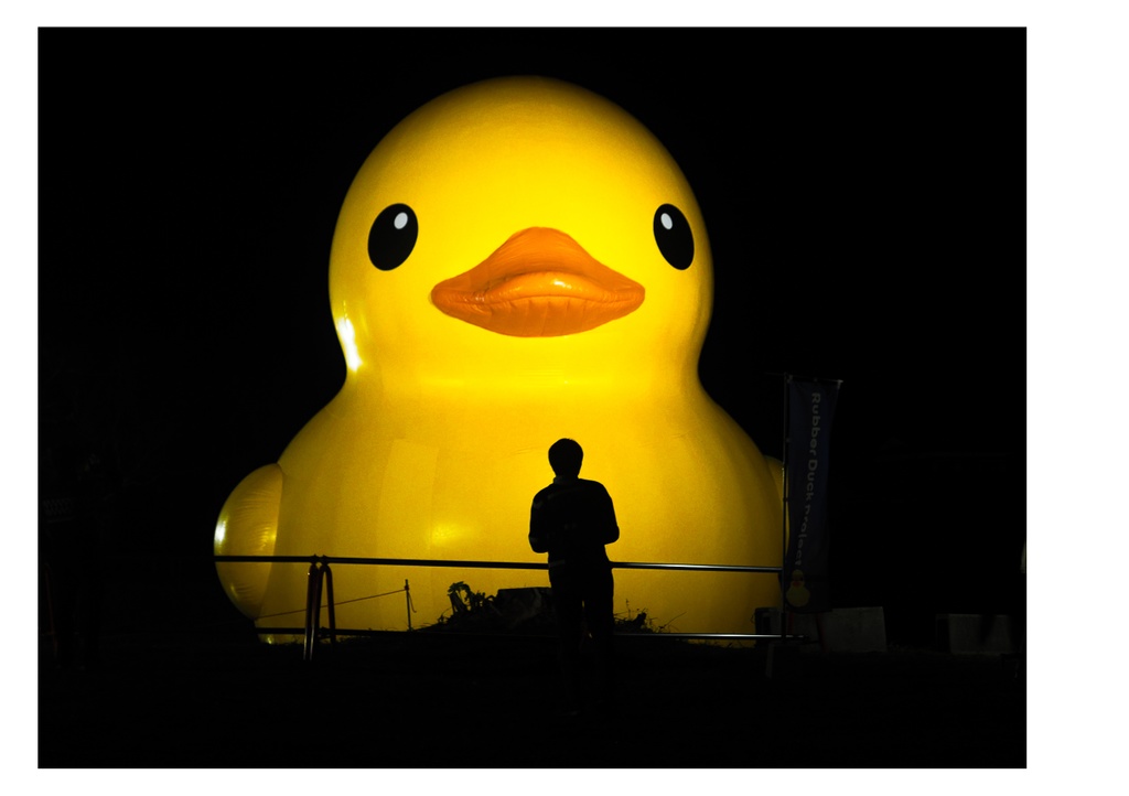 巨大アヒルに、会いに行く