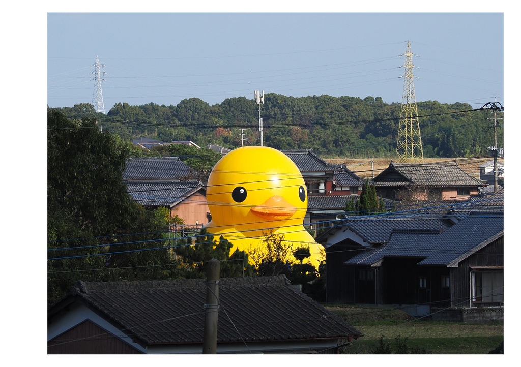 巨大アヒルに、会いに行く