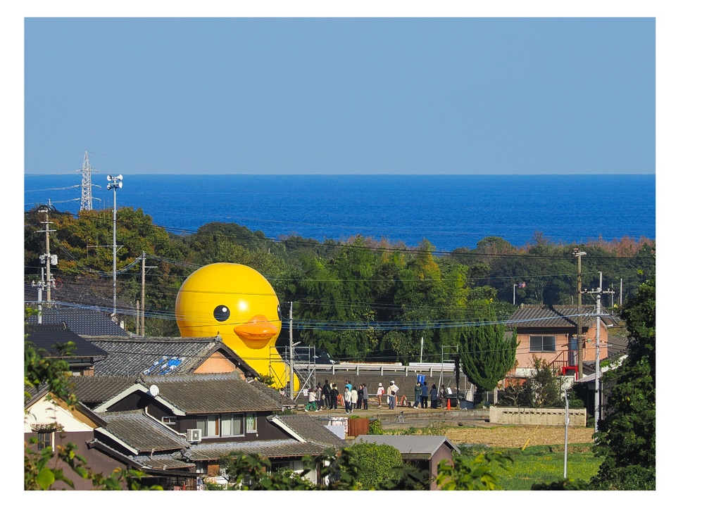 巨大アヒルに、会いに行く