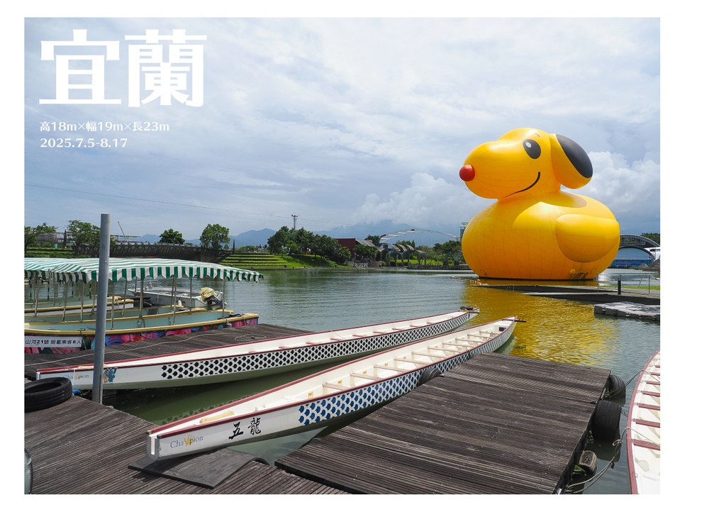 巨大アヒルに、会いに行く