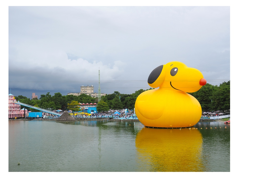巨大アヒルに、会いに行く