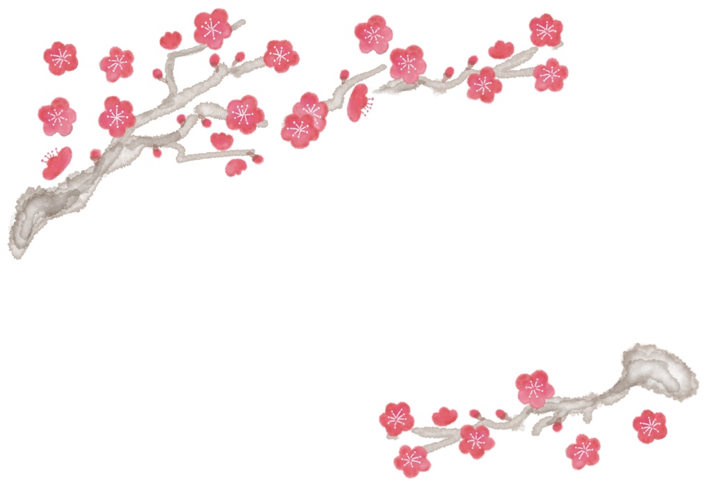 梅の花は報われない