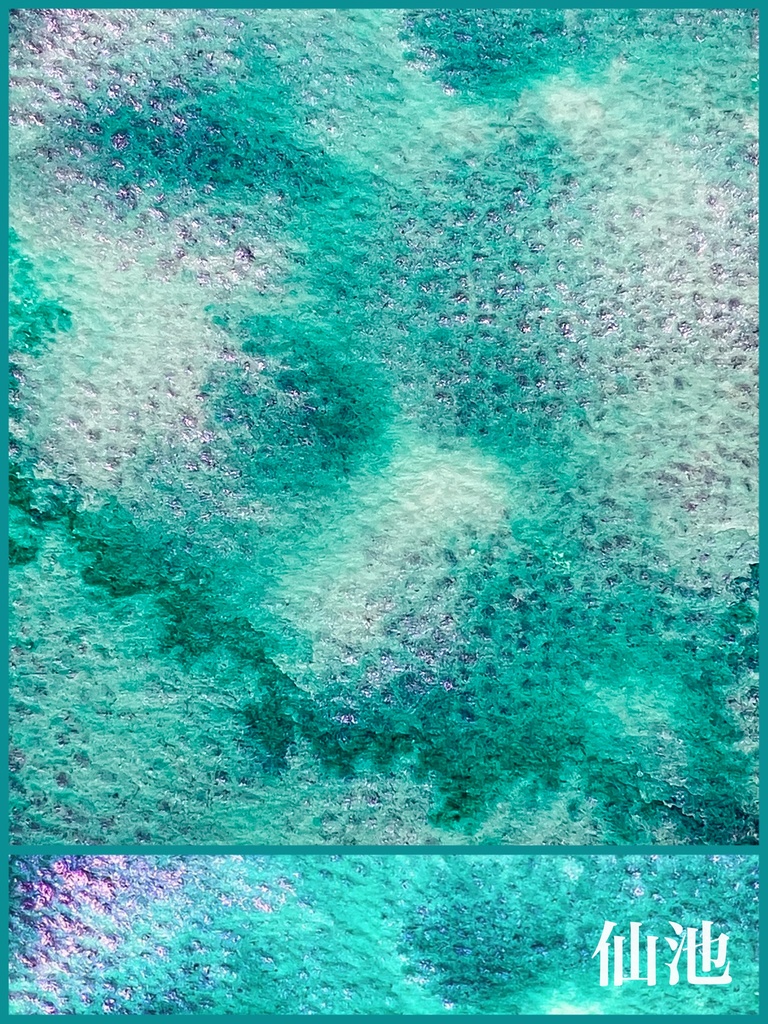 迷イ道シリーズ