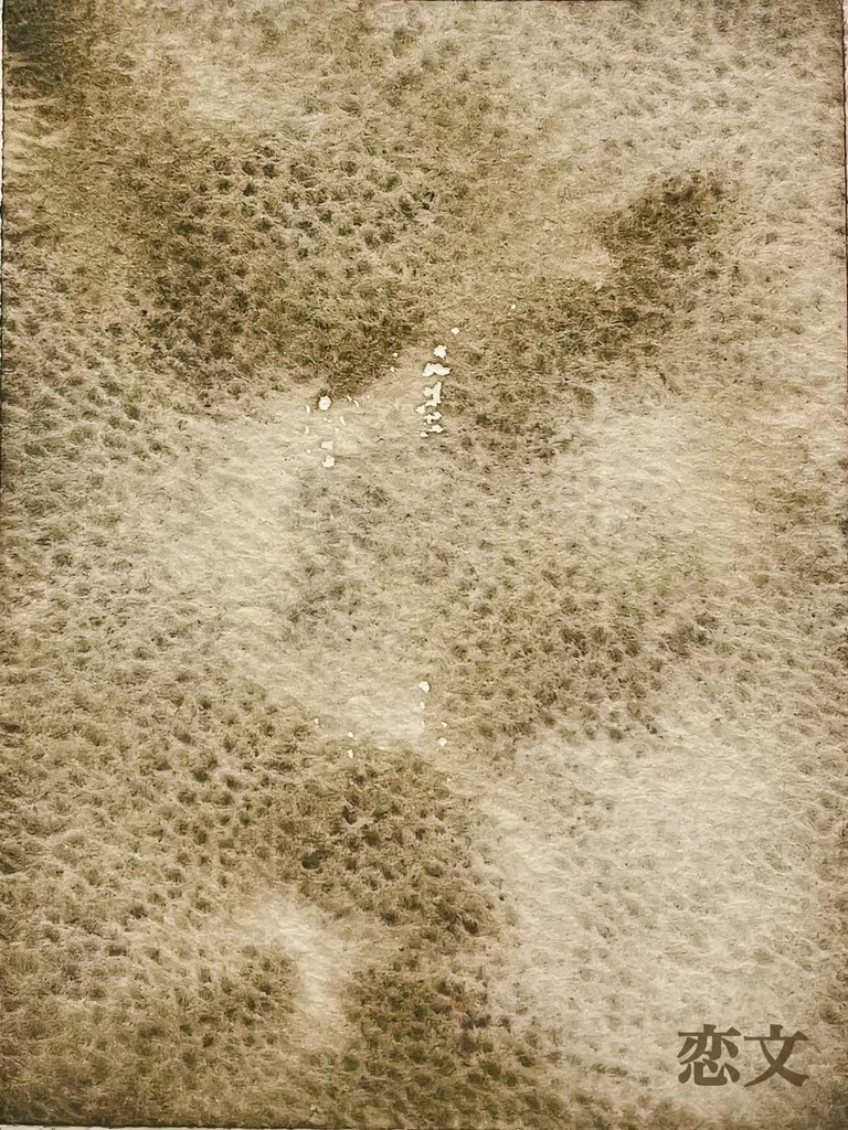 此処露シリーズ