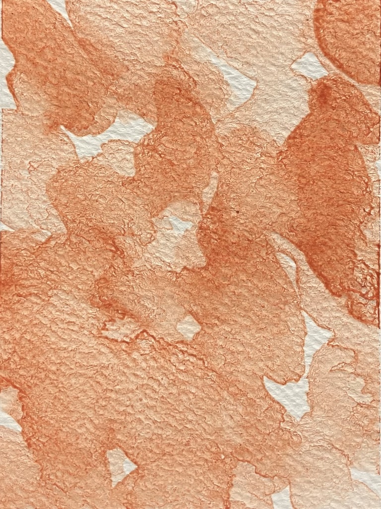 古城ノ標本シリーズ