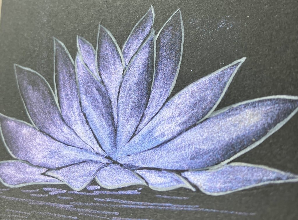 常初花シリーズ