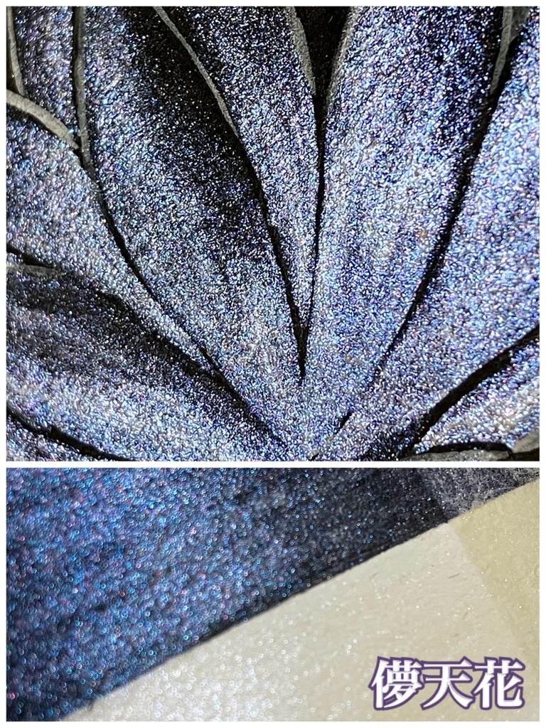 常初花シリーズ