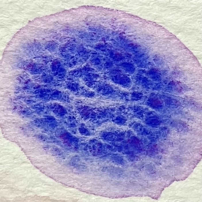 常初花シリーズ