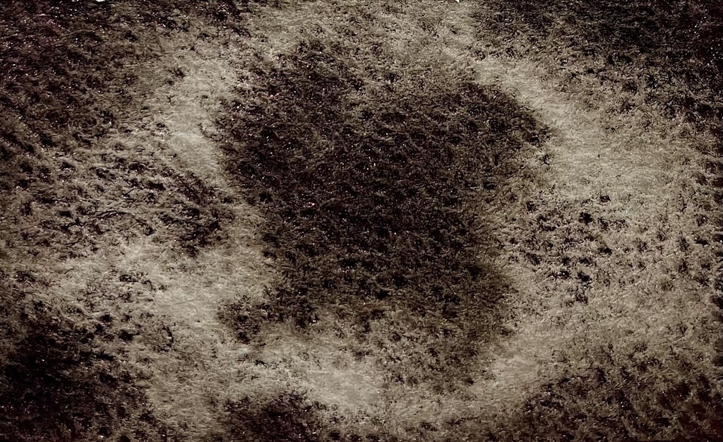 古城ノ標本 シリーズ