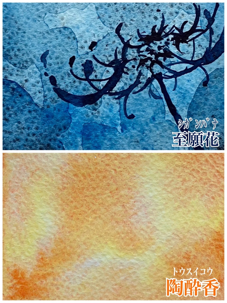 常初花シリーズ