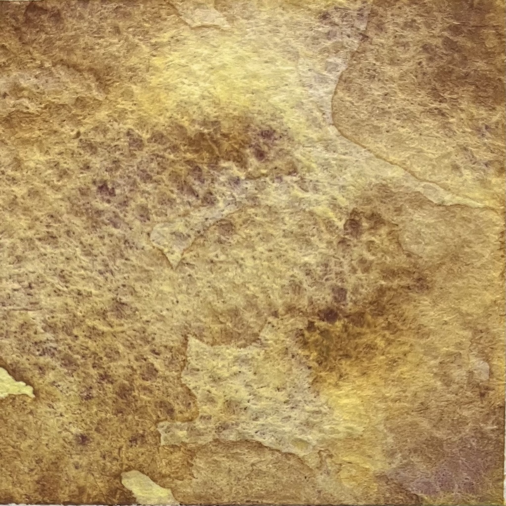 秋ノ色 シリーズ