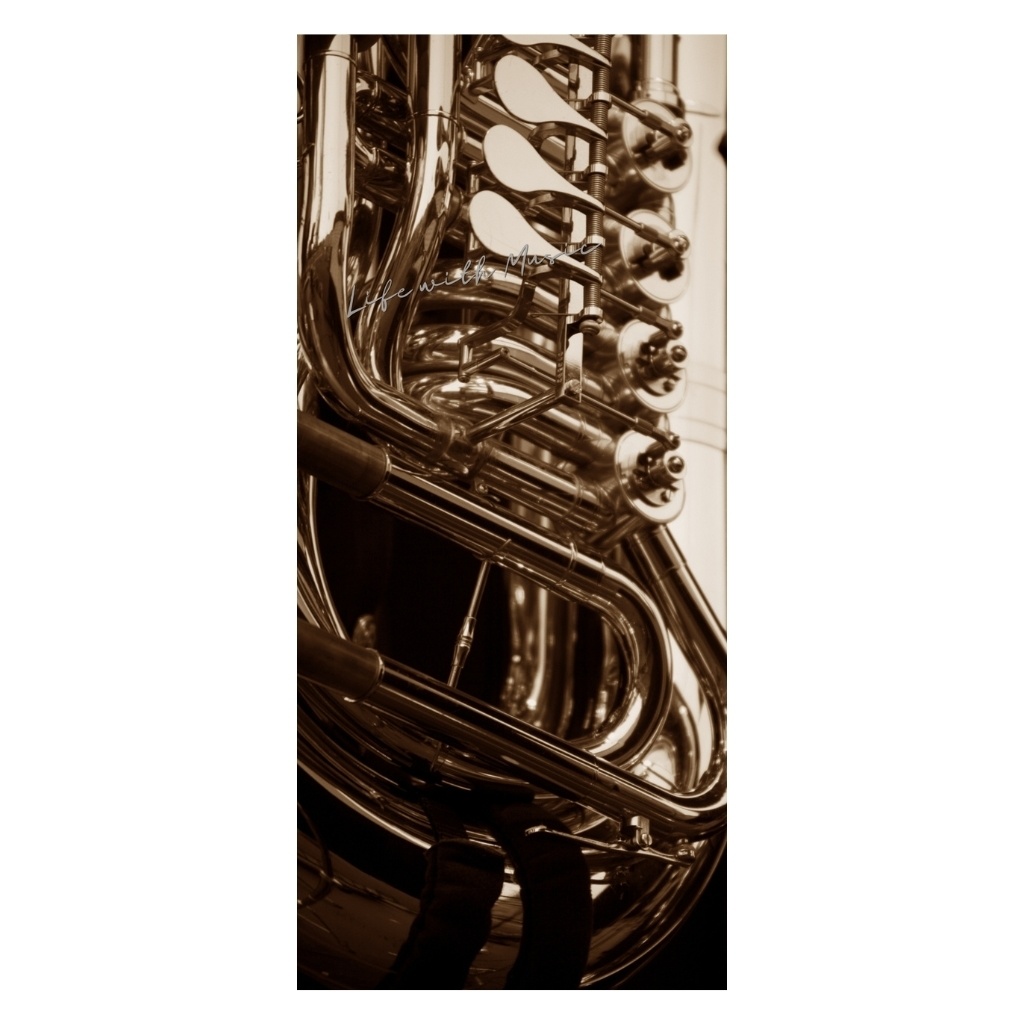 Life with Music – Tuba スマホ壁紙(1440×3200)3枚