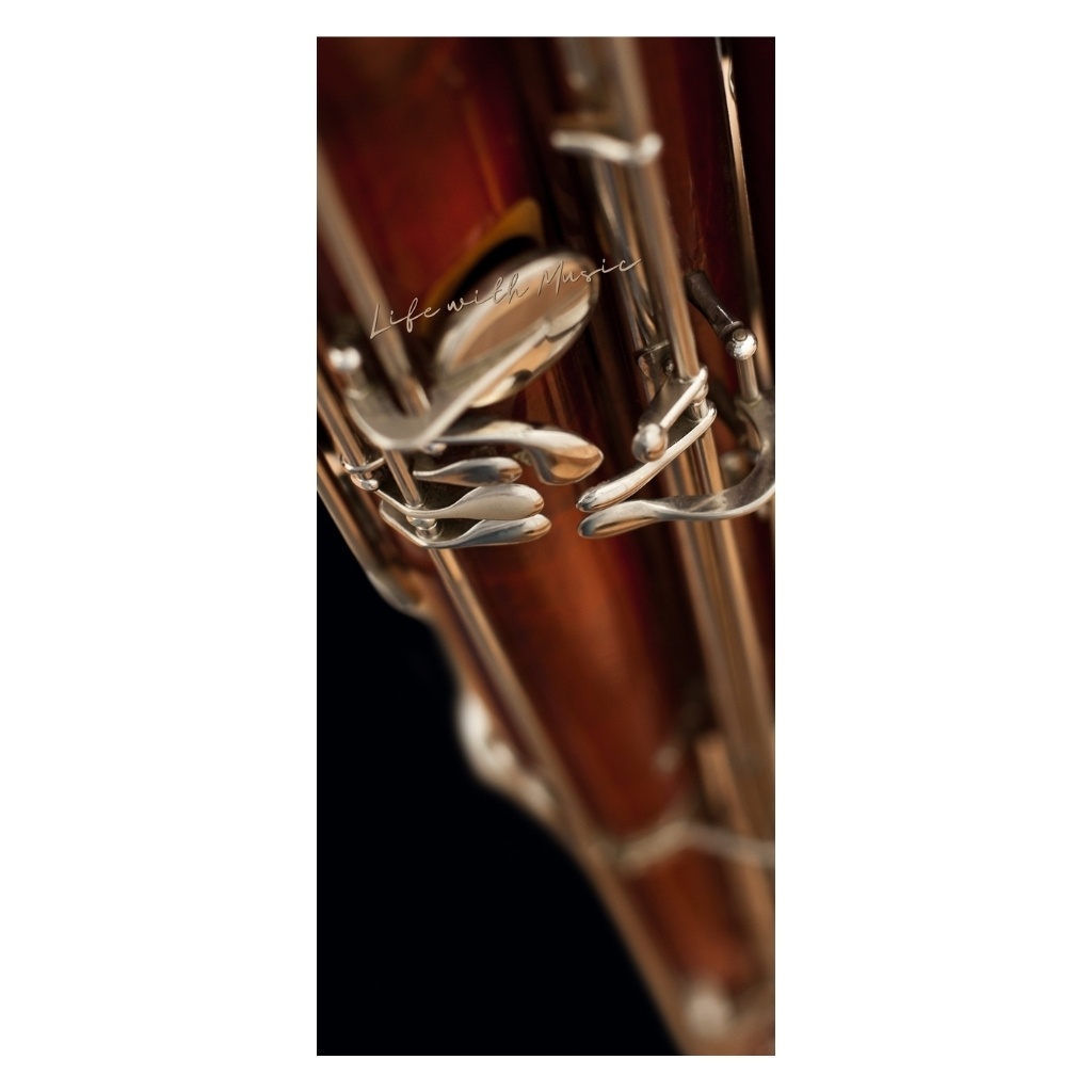 Life with Music – Bassoon スマホ壁紙(1440×3200)3枚+ボーナス1枚
