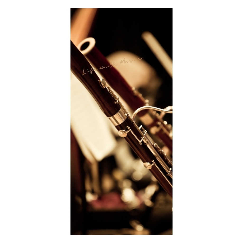 Life with Music – Bassoon スマホ壁紙(1440×3200)3枚+ボーナス1枚